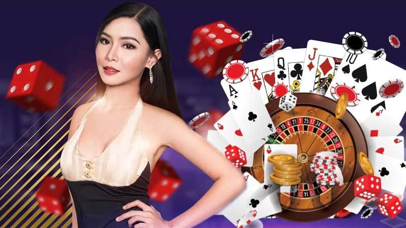 312 bet com
